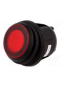 r13-244b8-02-bbr-sci