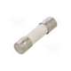 021501.6txp-littelfuse