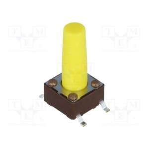 DTSM-66Y-V-B DIPTRONICS