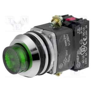 NEF30-WLZXY-230VAC PROMET