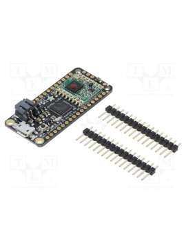 3179-adafruit