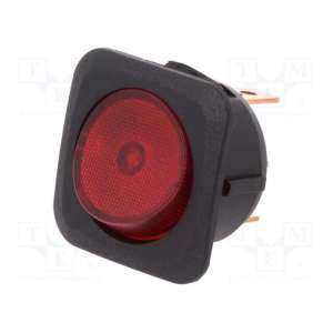 R13-203B-01-BR SCI