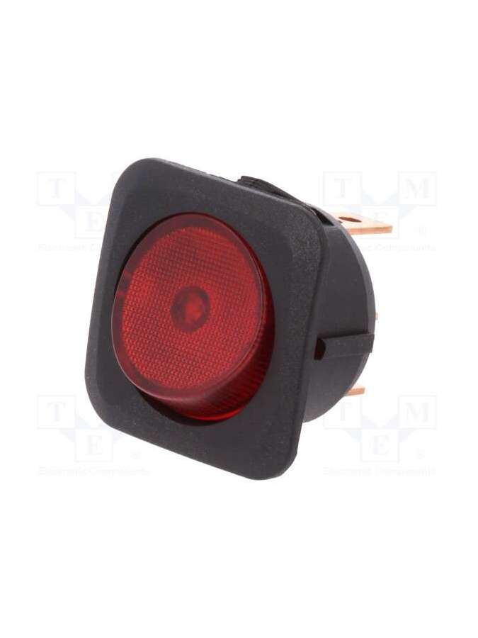 r13-203b-01-br-sci