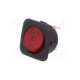 r13-203b-01-br-sci