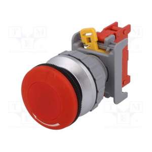 LEB30-1/C AUSPICIOUS