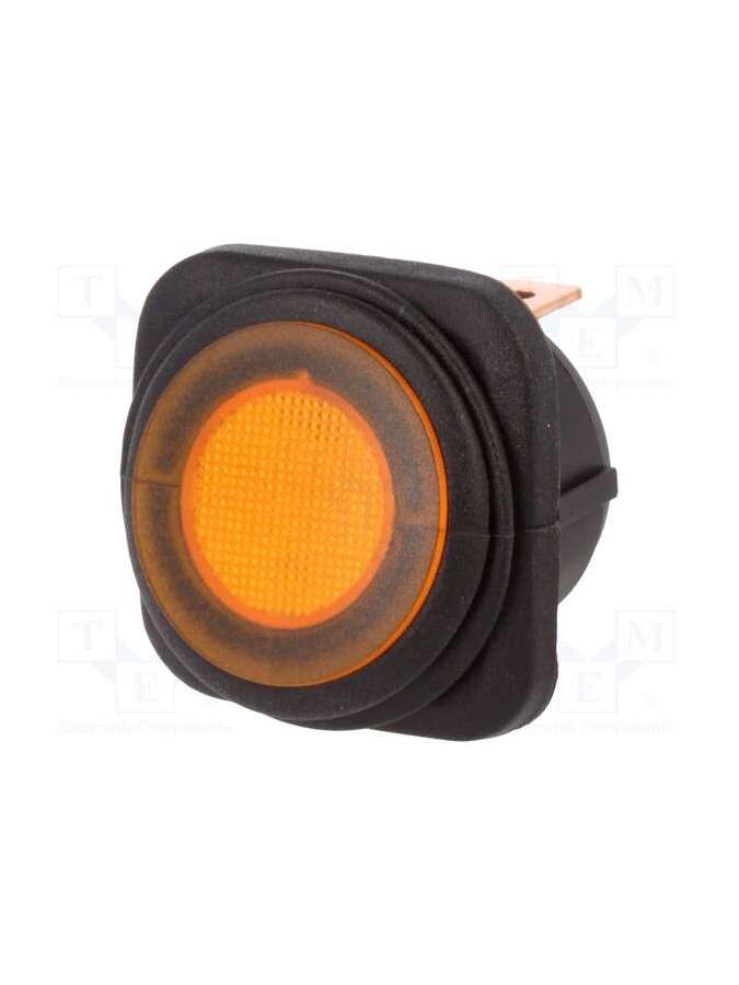r13-203b84-01-baan1-sci