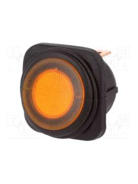 r13-203b84-01-baan1-sci
