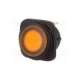 r13-203b84-01-baan1-sci