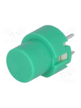 ks01-bv-g-highly electric