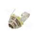 nys229-rean