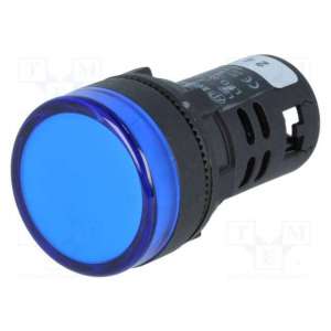 L22 24VDC BL AUSPICIOUS