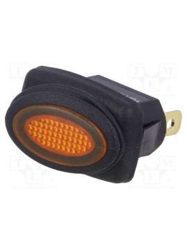 r13-278b8-02-y-sci