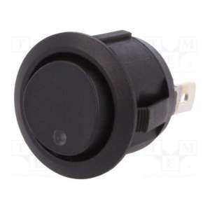 R13-112DL-02-BNYG SCI