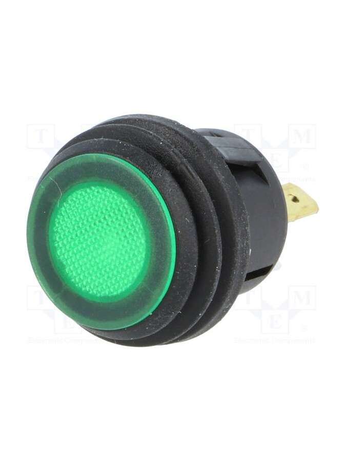 r13-527d2b-02-bg-sci