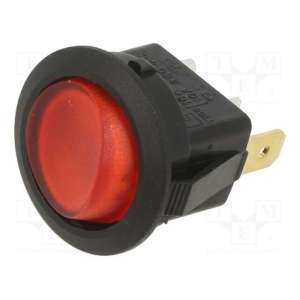 RR111C1000-116 E-SWITCH
