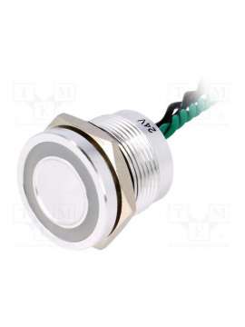 ps193p10ynt1g24vl-onpow