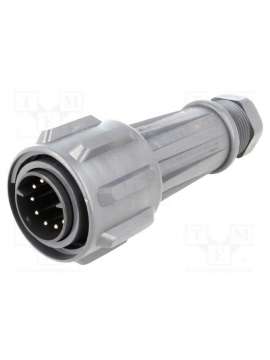 exp-0911/10/p-bulgin