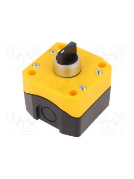 b1-rs-2o yellow/black-auspicious