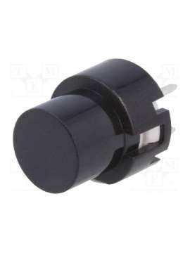 ks01-bv-bk-highly electric