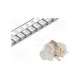 ml3-ag2hr-ct-v-r-diptronics