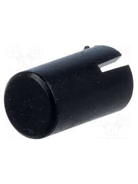 ap22909-br-canal electronic