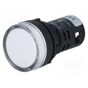 L22 24VDC W AUSPICIOUS