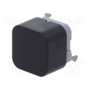 PB300DTQ E-SWITCH