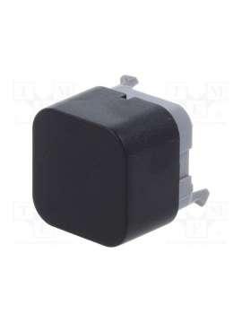 pb300dtq-e-switch