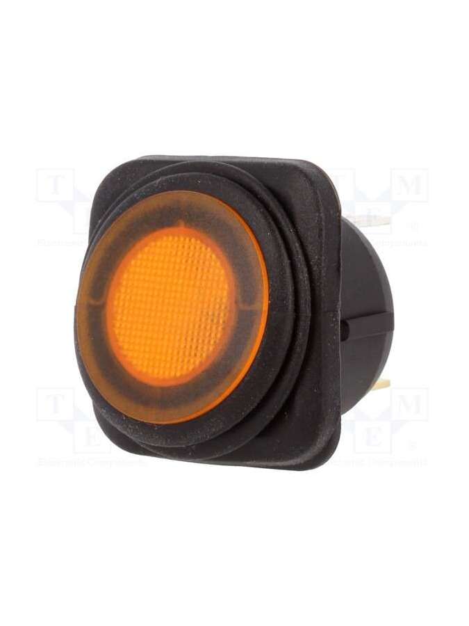 r13-203b84-01-byyn5-sci