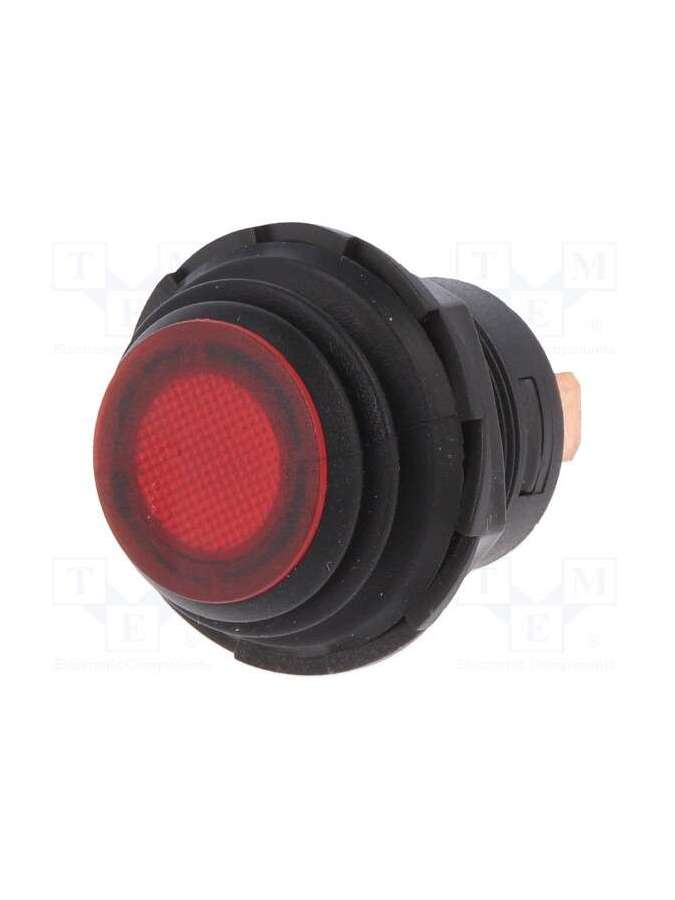 r13-553b2l-01-sci