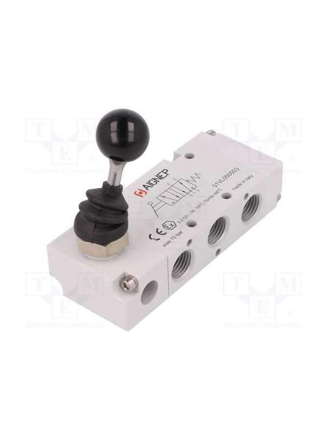 01vl050003-aignep