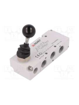 01vl050003-aignep