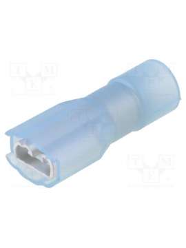 tmedn 480520-fa-bcl-nichifu