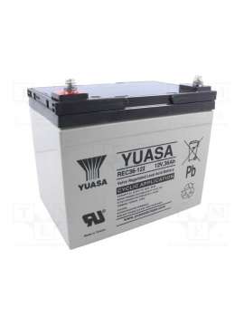 rec36-12i-yuasa