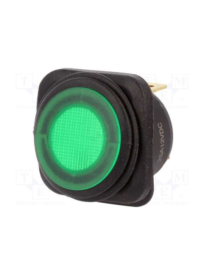 r13-203b84-01-bggn1-sci