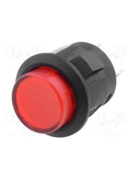 r13-523al-05-br-l-1-sci
