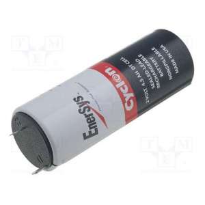 0860-0004 ENERSYS