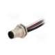 m12s-04pmms-sf8b15-amphenol ltw