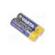 4006211302-varta microbattery