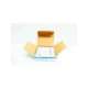 trs10r-gould shawmut