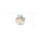 46l-k5-w6-ttx-sor