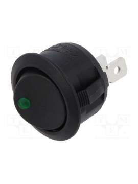 ras2-1a-dc-2-gl-switch components