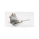 as5186ev50p2-minco