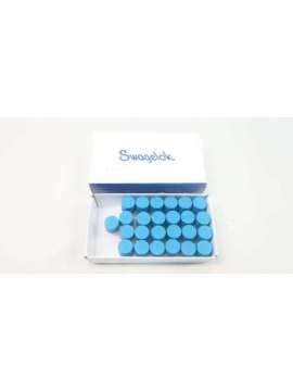 ss-6-p-swagelok