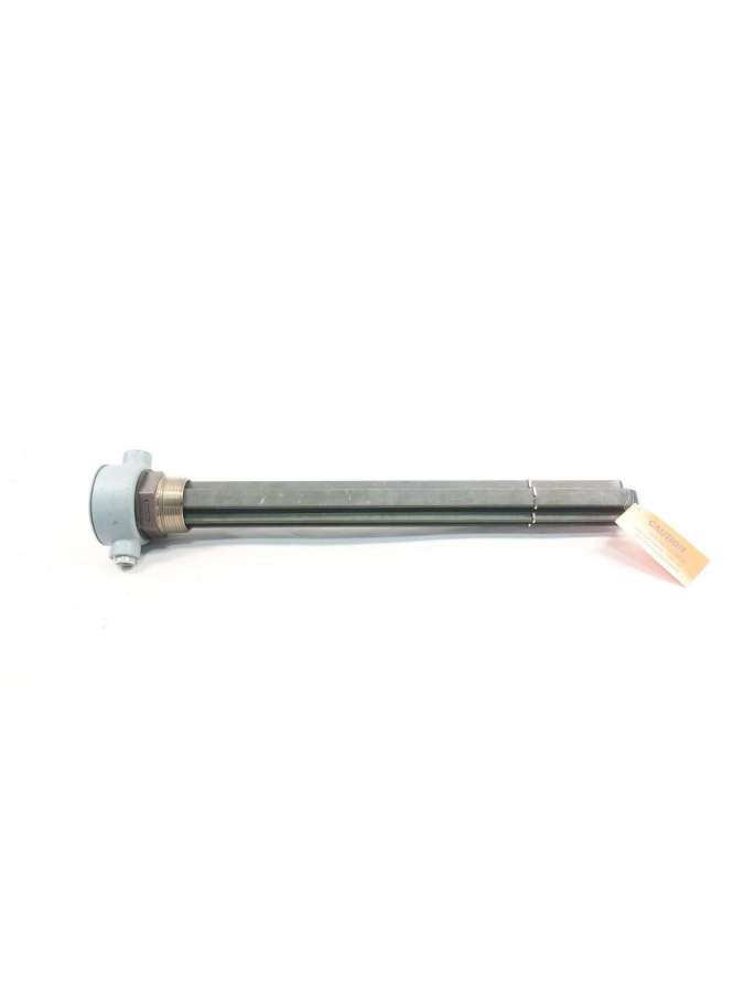 blnf23c19w-watlow