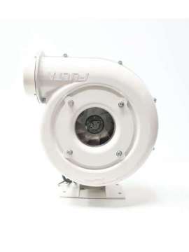 bn125-303-101-fulta