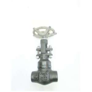 SW2821 FLOWSERVE