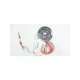 tr6000-00034723-qualitrol