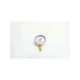 opg-at-g1/4-60x2.5mpa-ask