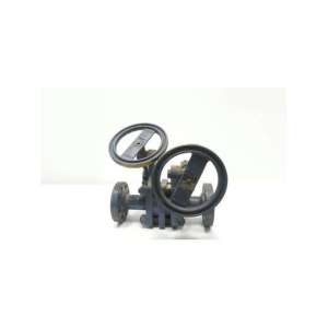 5361 EVERLASTING VALVE USADO